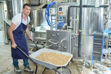 worker carrying beer malt
