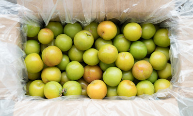  plum fruite