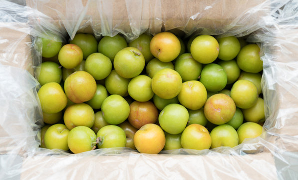  plum fruite