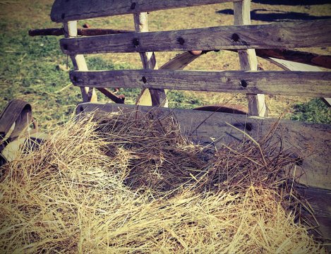hay over the old wagon of the farm with vintage effect