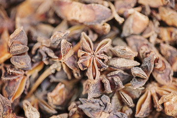 Star Anise seed background