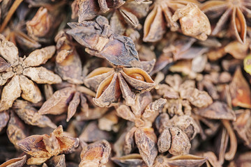 Star Anise seed background