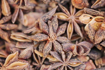 Star Anise seed background