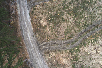 aerial drone flight with copter over deforested forest in austria in march