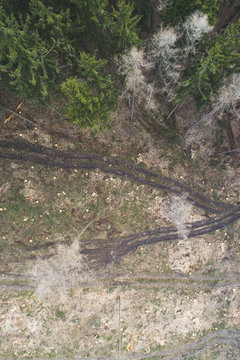 aerial drone flight with copter over deforested forest in austria in march