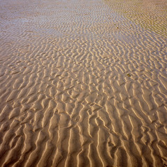 Ripples in the sand texture