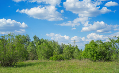 Fototapeta na wymiar Plain landscape background