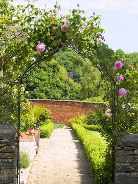 Garden gate arch with climbing roses leading to a sunlit walled garden