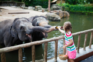 Fototapeta premium Kids feed elephant in zoo. Family at animal park.