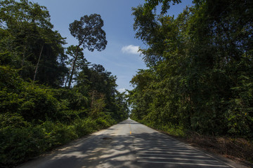 road