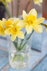 A bouquet of yellow narcissus in the glass vase