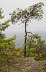 Obraz premium Bohemian Switzerland National Park, Czech Republic