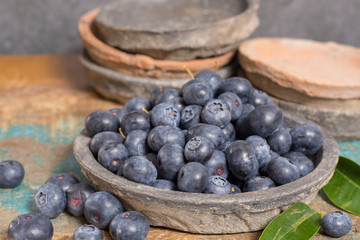 Organic healthy superfood blueberry in bowl, new harvest, raw, ready to eat