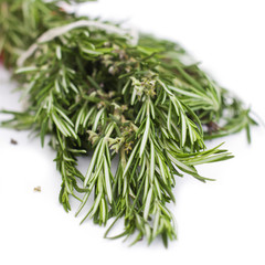 A fresh rosemary on a white background