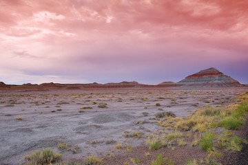 Petrified Forest National Park, USA.