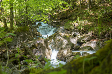 Gebirgsbach - Allg&auml;u - Schmelzwasser - Berge - Alpen - Bach