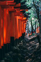 Gates of Fushimi Inari