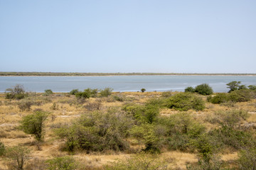 Réserve de Guembeul, réserve naturelle, Saint Louis, Sénégal