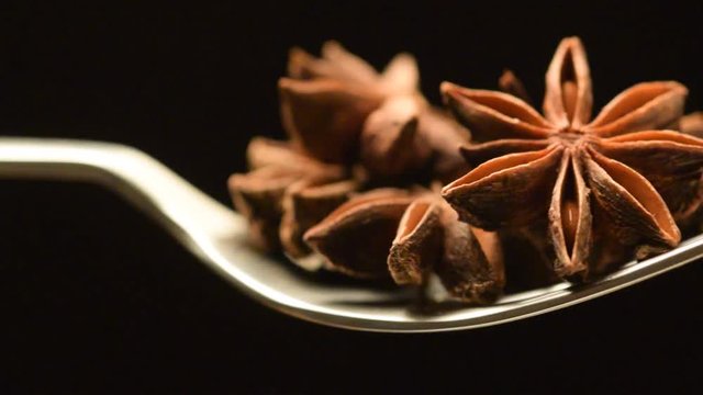Illicium verum Star anise