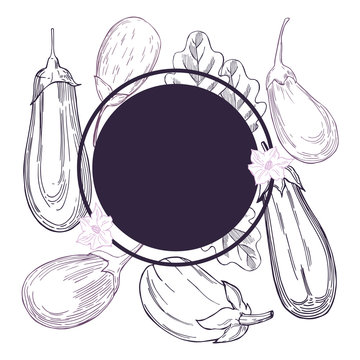  Vector frame with hand drawn eggplants.