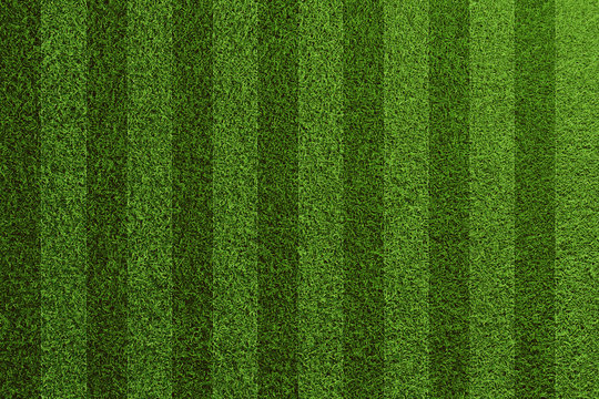 Fußball Gras Rasen Textur von oben