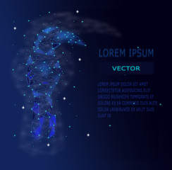  Low poly Blue Hornbill bird with Galaxy background,animal geometric,Abstract vector. © Sarun