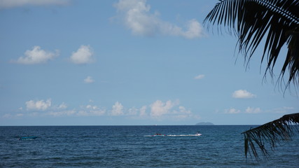 Blue sky, blue sea, speed boat and coconut tree