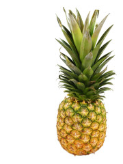 Fototapeta premium Ananas