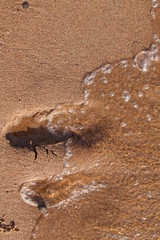 footprints in the sand and wave