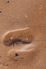 footprints in the sand