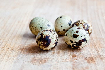 Fototapeta premium quail eggs