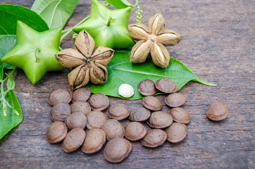 Sacha inchi, Sacha peanut, Inca peanut, Supra or Mountain peanut
