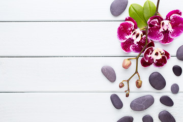 Orchid on a wooden background. Spa and wellnes scene. - obrazy, fototapety, plakaty