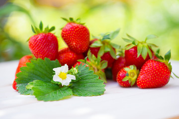a strawberry flower lies on a white wooden background next to ripe berries