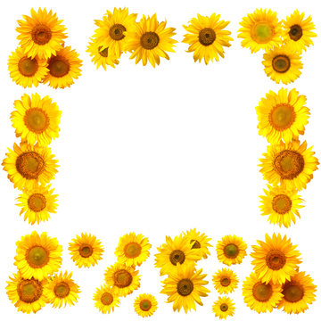 Collection of flowers sunflower frame with place for text isolated on white background