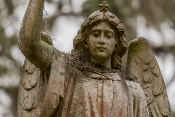 Spanish Moss on Shoulder of Angel Statue