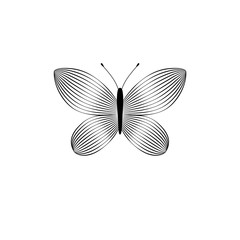 Black and white striped elegant butterfly insect, vector