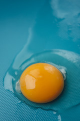 Raw egg on blue background