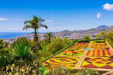 Printed roller blinds Garden Botanical garden in Funchal, Madeira island, Portugal