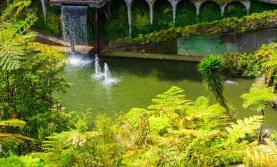 Botanical garden in Funchal, Madeira island, Portugal