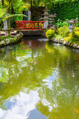 Botanical garden in Funchal, Madeira island, Portugal