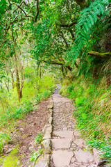 Levada das 25 fontes and levada do risco, Madeira Island, Portugal
