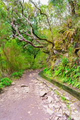 Levada das 25 fontes and levada do risco, Madeira Island, Portugal