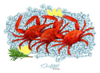 Crabs with rosemary and lemon on ice cubes. Vector illustrationin cartoon style. Seafood product design. Inhabitant wildlife of underwater world. Edible sea food.