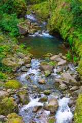 Levada das 25 fontes and levada do risco, Madeira Island, Portugal