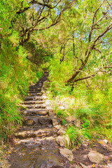 Levada das 25 fontes and levada do risco, Madeira Island, Portugal