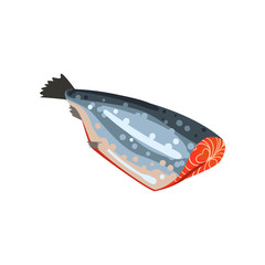 Salmon fish without head, seafood product vector Illustration on a white background