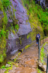 Fototapeta premium Levada das 25 fontes and levada do risco, Madeira Island, Portugal