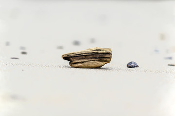 Obraz premium A piece of wood on the beach, a maritime landscape.