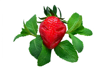Evil strawberry in a sprig of mint isolated